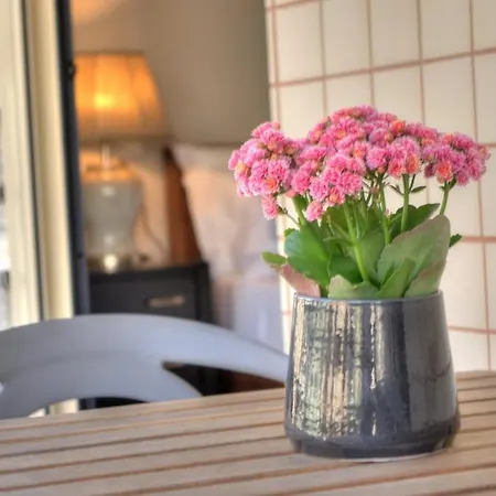 Apartman Mouzinho50 - Elegant