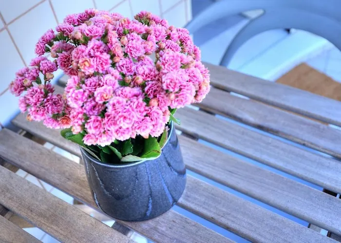 Апартаменты Mouzinho50 - Elegant *