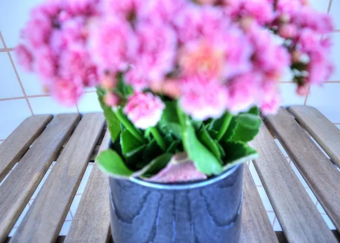 Mouzinho50 - Elegant Apartment *