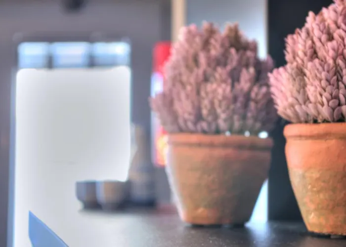 Apartment Mouzinho50 - Elegant